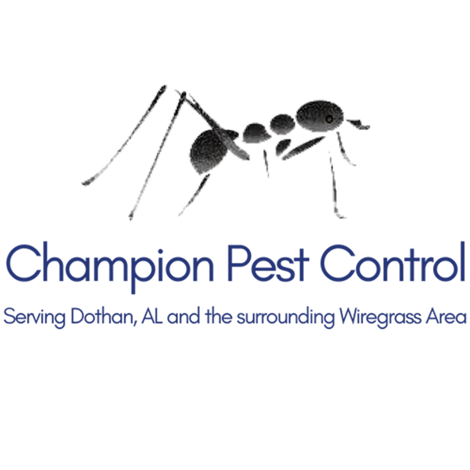 Pest Control Free Consultation Dothan, AL Champion Pest Control